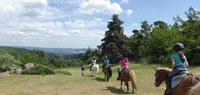 Balades à poney